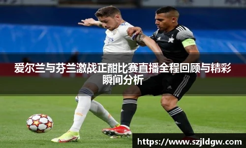 爱尔兰与芬兰激战正酣比赛直播全程回顾与精彩瞬间分析